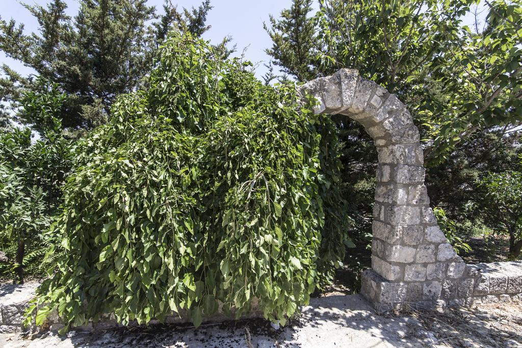 Country Sicily Home Favara Dış mekan fotoğraf